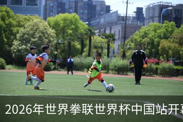 2026年世界拳联世界杯中国站开幕 赛事首次落户中国